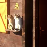 Il Melo 캠프장