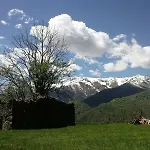 Il Melo * Peveragno