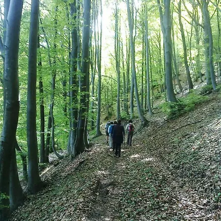 Кемпинг Il Melo Peveragno