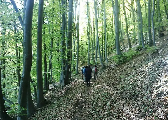 Campingplads Il Melo Peveragno